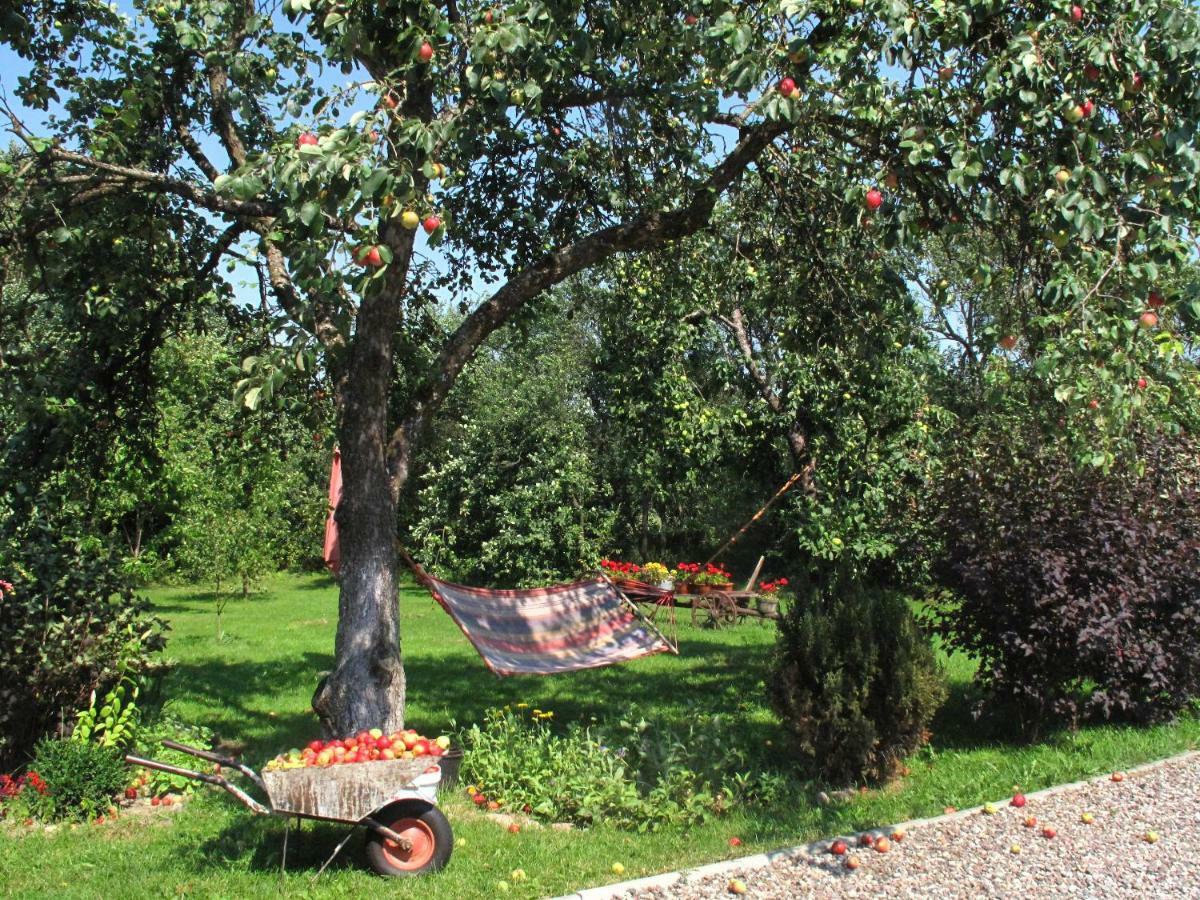 Dom Na Mazurach Agroturystyka Daire Giżycko Dış mekan fotoğraf